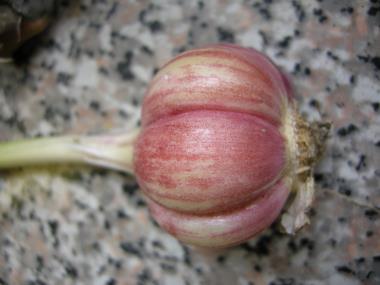 Nærbillede